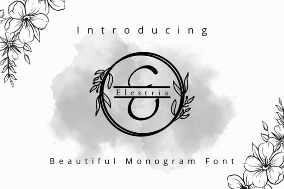 Elestria: A Captivating Decorative Font for Digital Branding